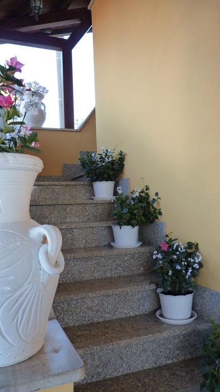 Affittacamere Stranamore Frascati Exterior foto